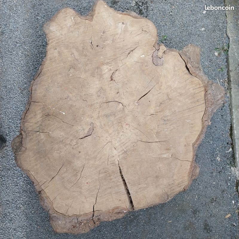 Table basse tronc (image 3)