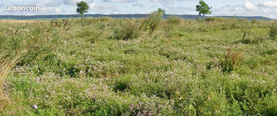 Terrain 770 m² Conde Sur Marne · à Condé-sur-Marne · 77 380 €