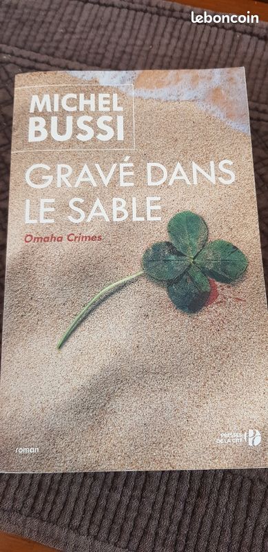 Gravé Dans Le Sable de Michel Bussi (image 1)
