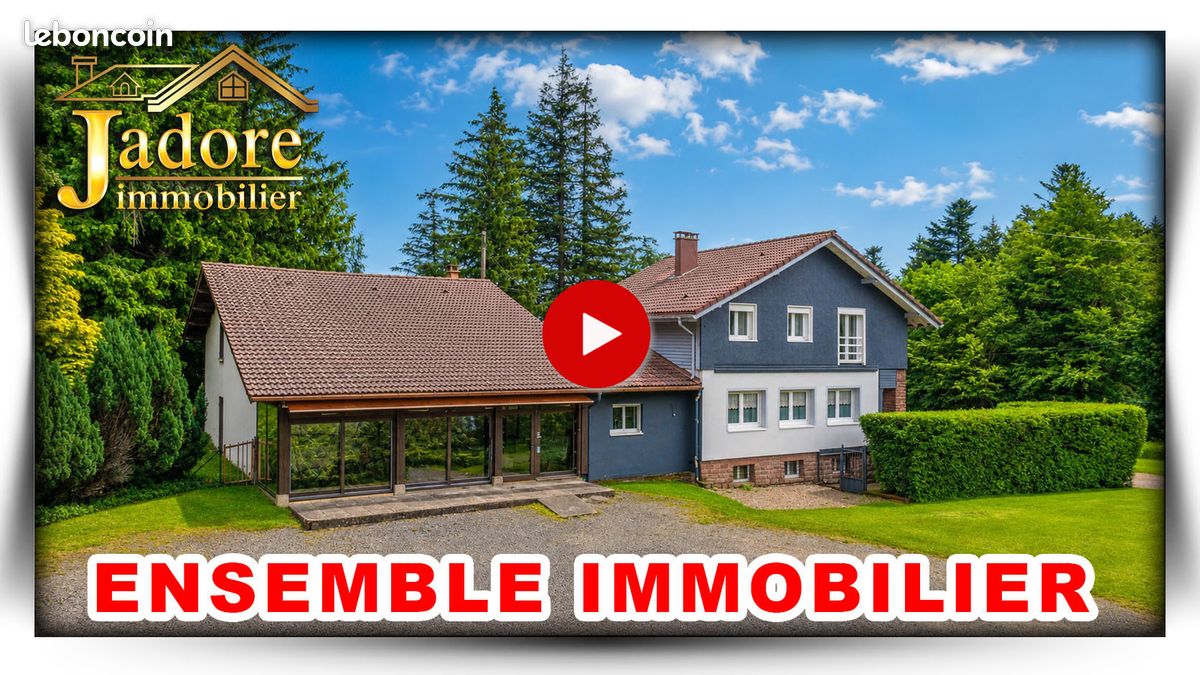 Maison 10 pièces 317 m² · au Bonhomme · 317 m² · 317 000 €