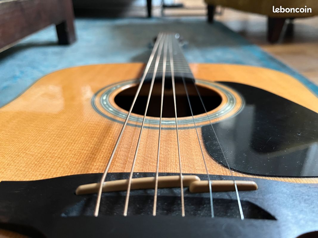 Guitare Takamine GD30 (image 5)