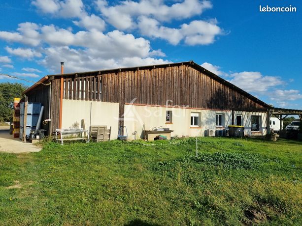 Terrain 8004 m² Fronton