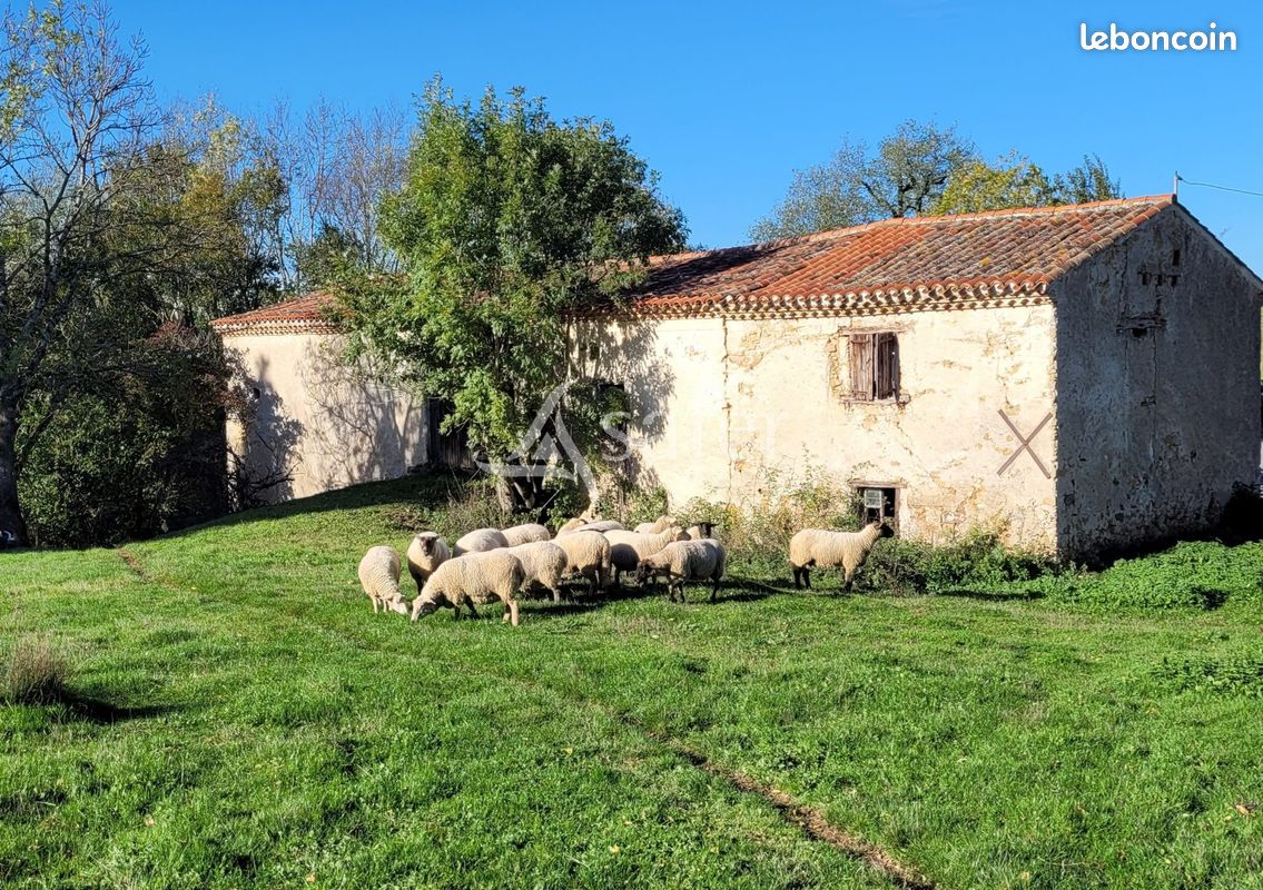 Maison 100 m² · à Castres · 100 m² · 167 000 €