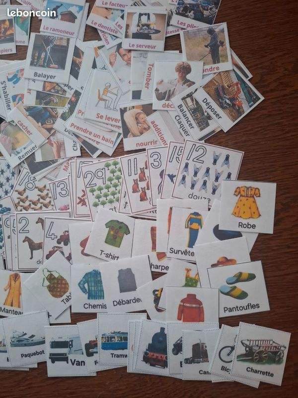 Grand Lot de Cartes de Nomenclature Plastifiées (image 4)