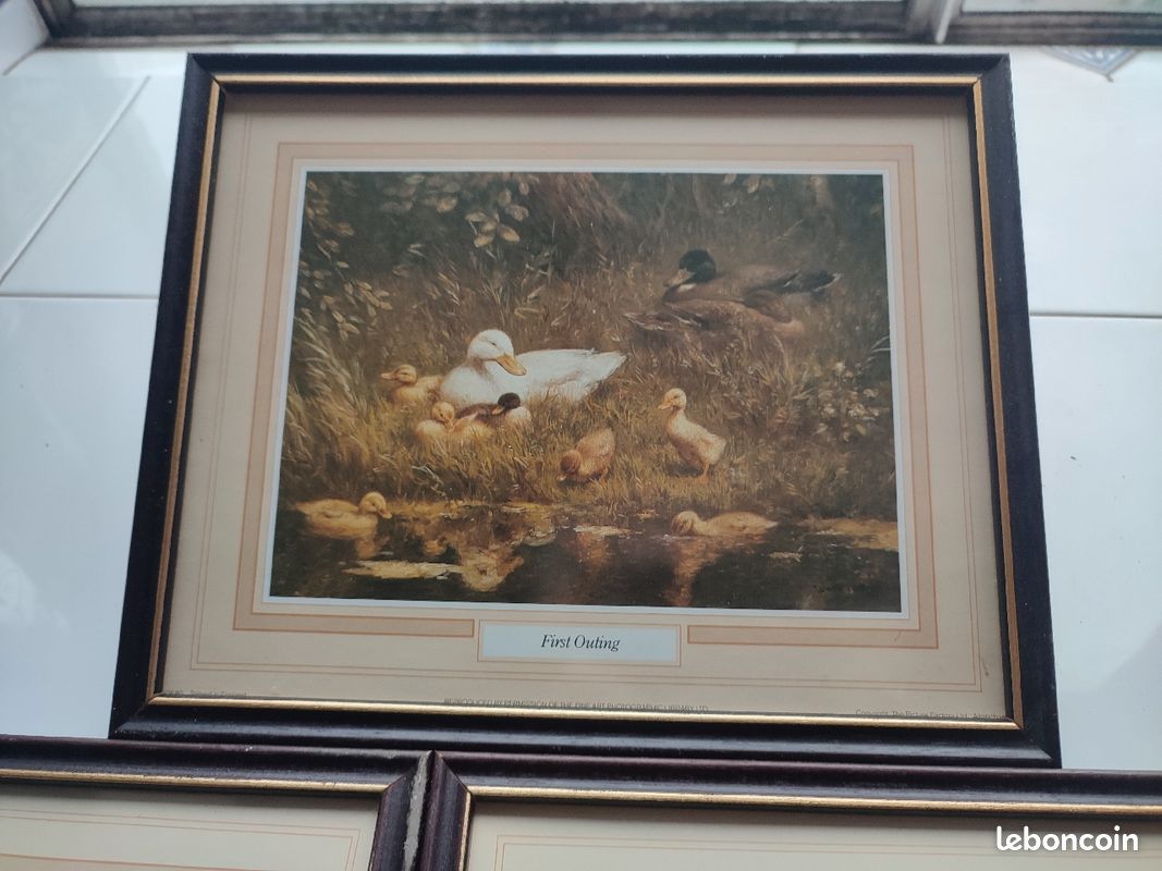 3 cadres représentants des scènes avec des canards (image 3)
