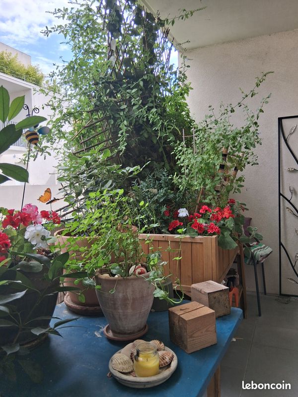 Appartement 1 pièce 23 m² · à Juvignac · 23 m² · 95 000 €