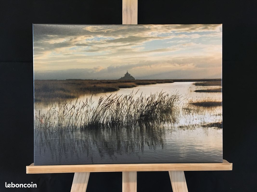Photos imprimées sur toile cadre bois (image 19)