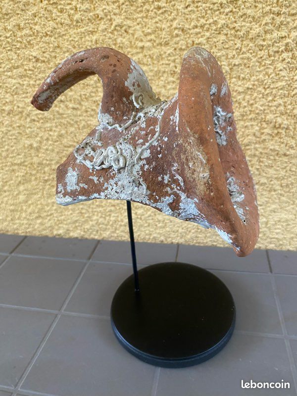 Amphore romaine avec concrétions marines – Galerie Hugo Brégeau