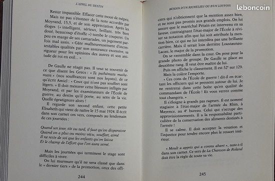 De Gaulle L'appel du destin De max Gallo (image 3)