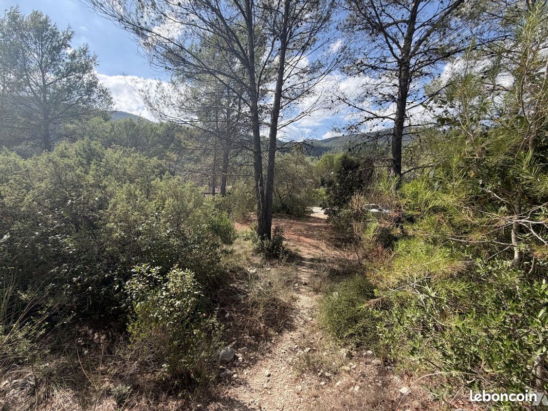 Terrain 2946 m² · à Solliès-Toucas · 2 946 m² · 195 000 €