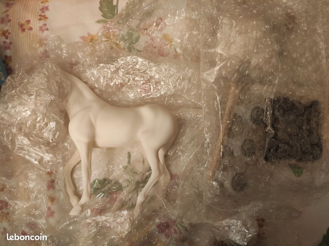 Le cheval de mes rêves (image 2)