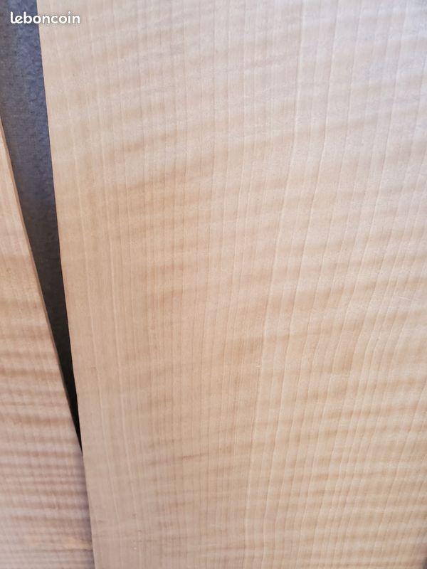 Planche En Érable Dur Œil D'Oiseau - 20-1/2" X 7-1/16" X 7/8" - Bois333 - Neuf