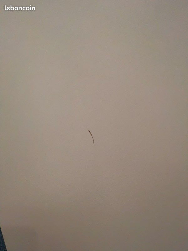 Portes PAX Ikea blanches (image 3)