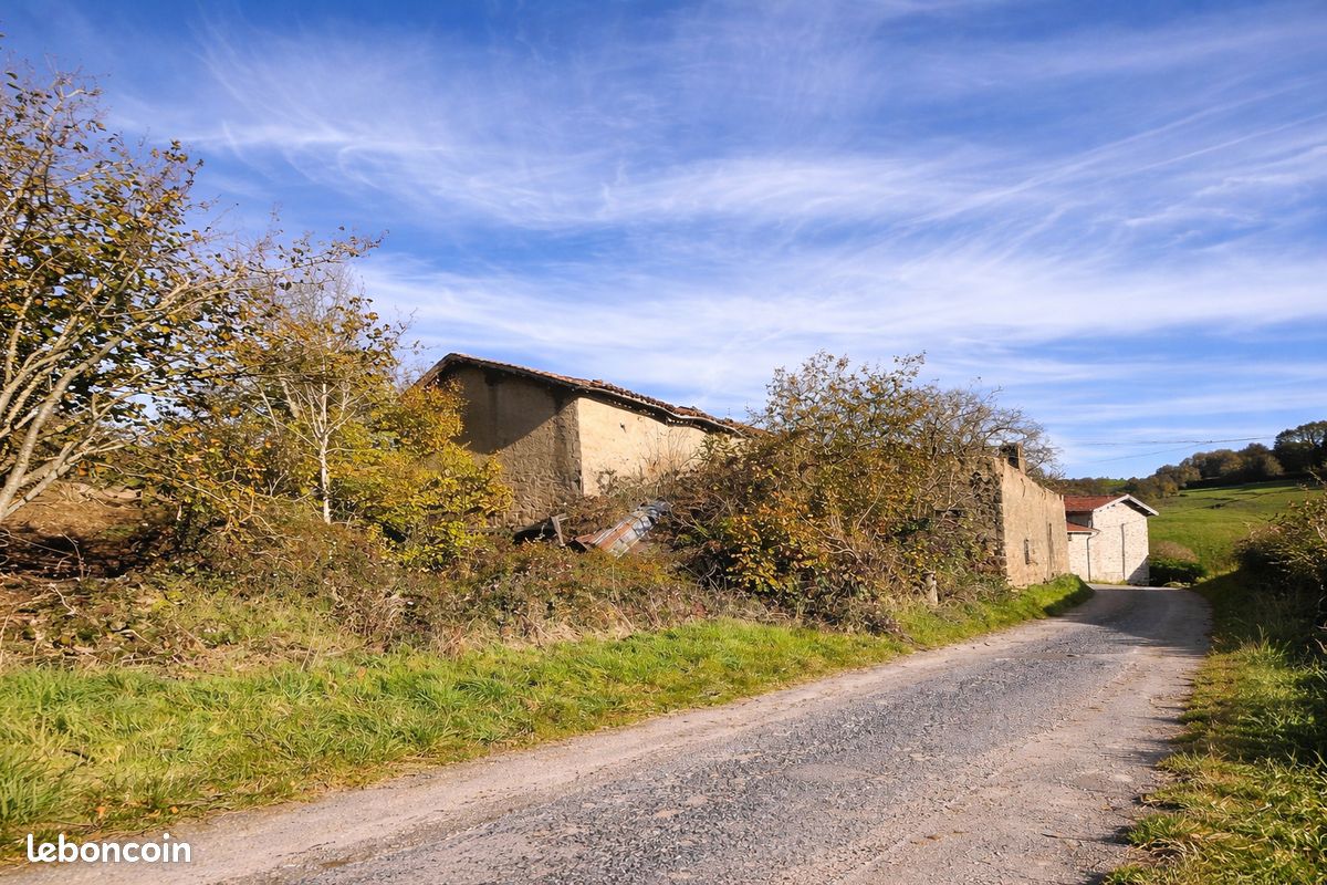 Maison 4 pièces 100 m² · à Saint-Martin-en-Haut · 100 m² · 50 000 €