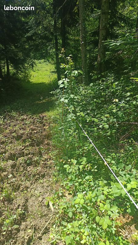 Terrain 28000m2 (image 1)