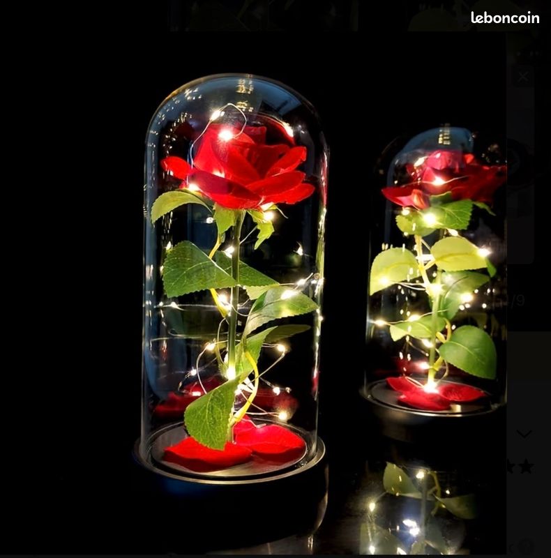 Rose sous cloche (image 1)