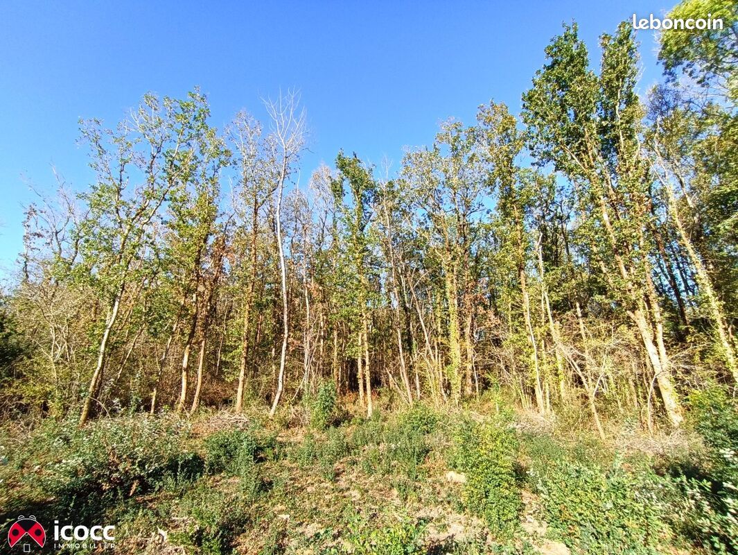 Terrain 19013 m² · à Mareuil-sur-Lay-Dissais · 12 500 €