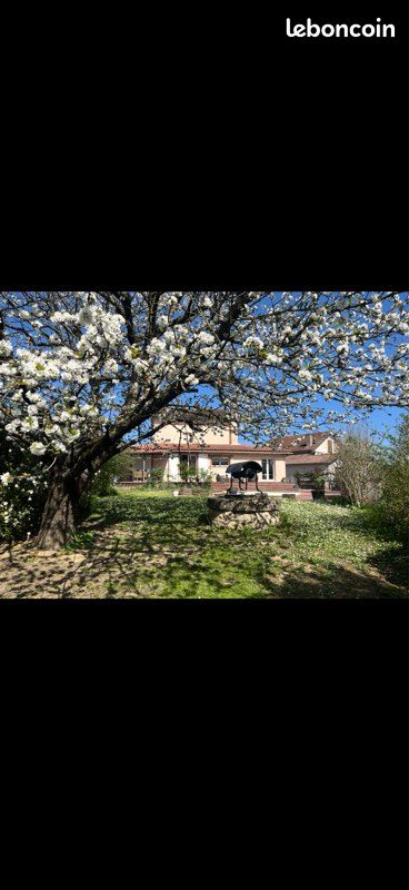 Maison 5 pièces 135 m² · à Albi · 135 m² · 208 000 €