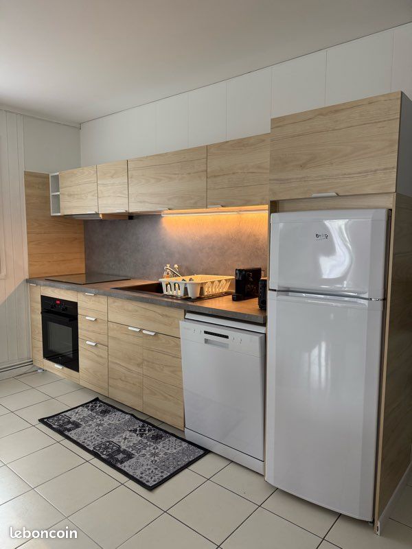 Grand T3 dans chalet, St Lary village, 6 pers, 2 chambres, jardin clos (image 5)