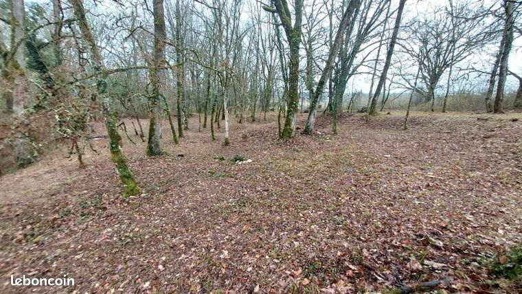 Terrain 1 255 m² Baladou