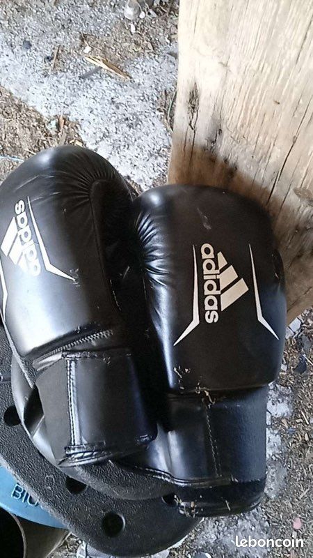Sac de boxe (image 1)