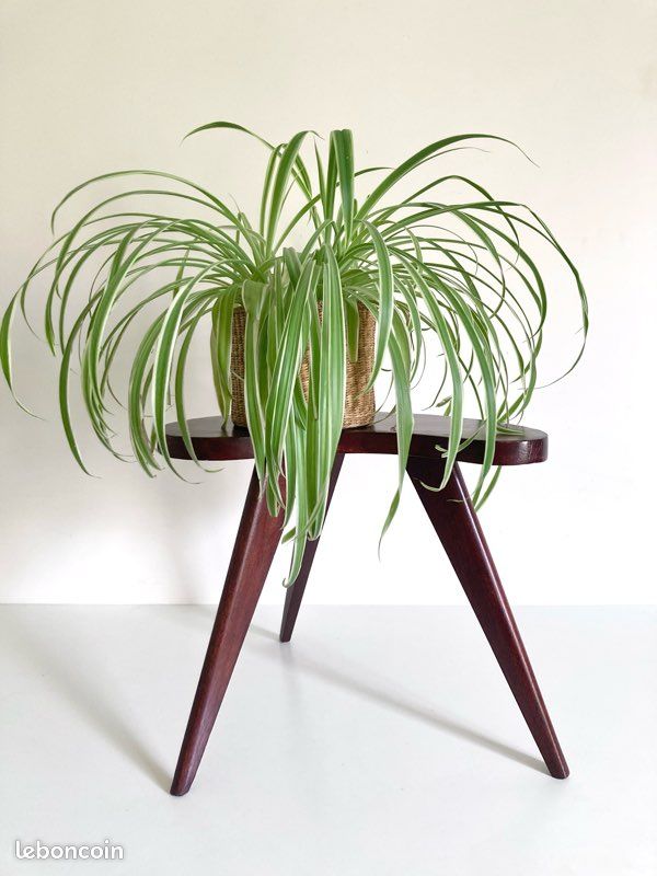 Table d’appoint Tabouret sellette bout de canapé tripode haricot pieds compas bois massif scandinave Mid Century / Vintage 50-60 (image 2)