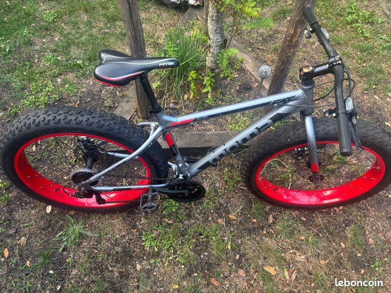 Fat bike (image 1)