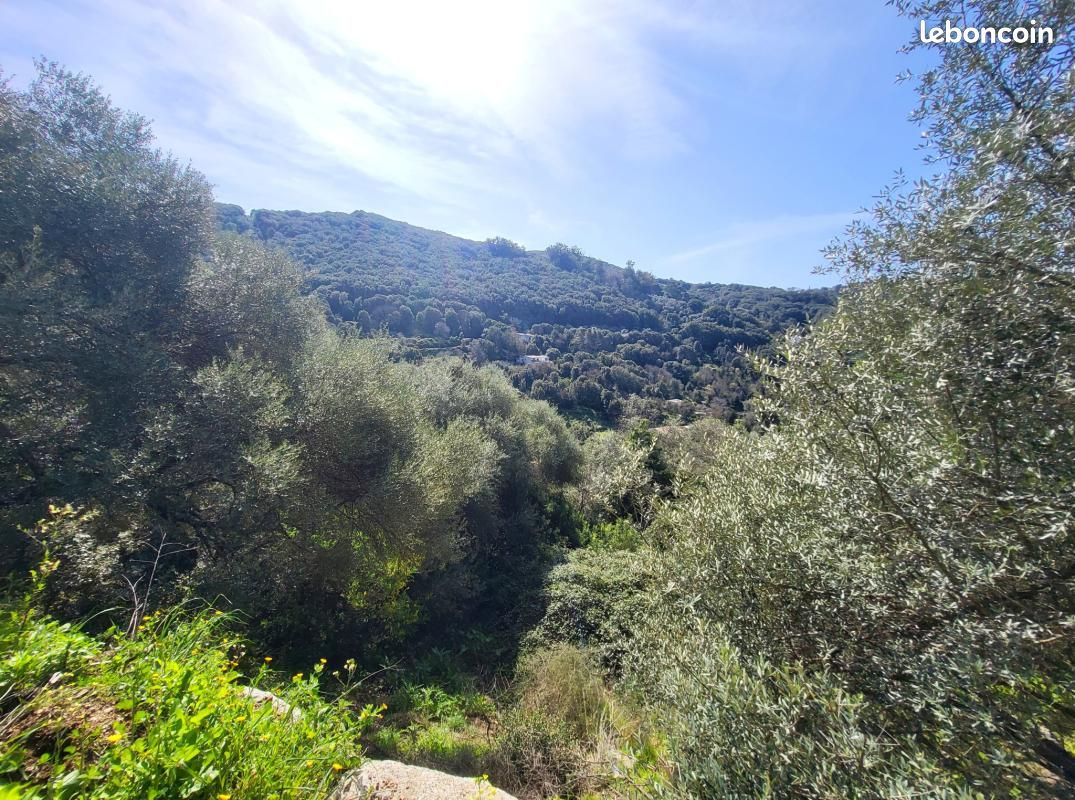 Terrain 15 000 m² Sartene · à Sartène · 189 000 €