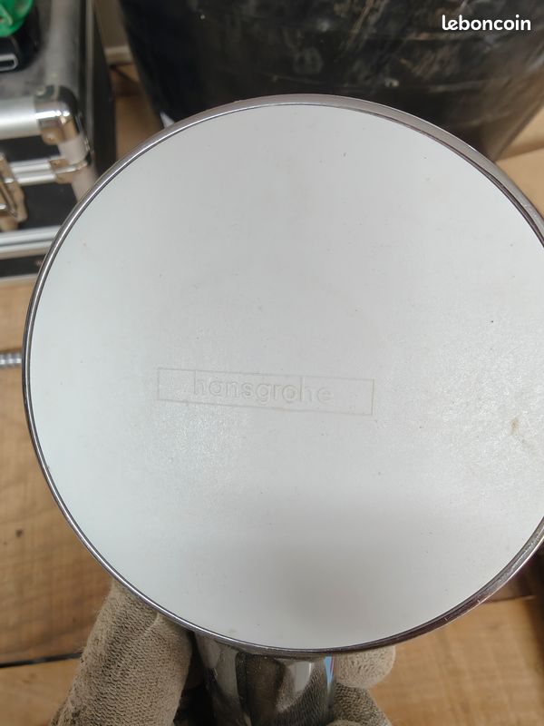 Pommeau de douche Hansgrohe + flexible (image 3)