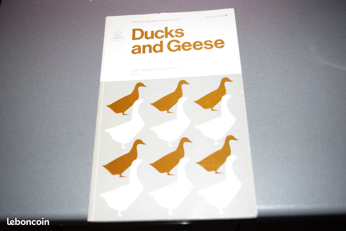 Ducks and geese (image 1)