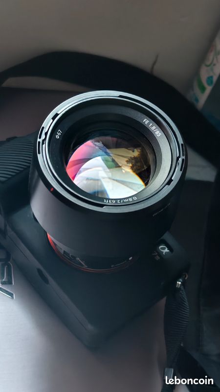 Sony A7iii + 85mm fe 1.8 (image 2)