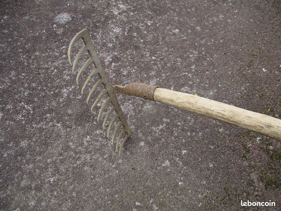 Râteau à Main Acier DeWit, Outils de jardin à Main - Botanique Editions Râteau à Main Acier DeWit, Outils de jardin à Main - Botanique Editions