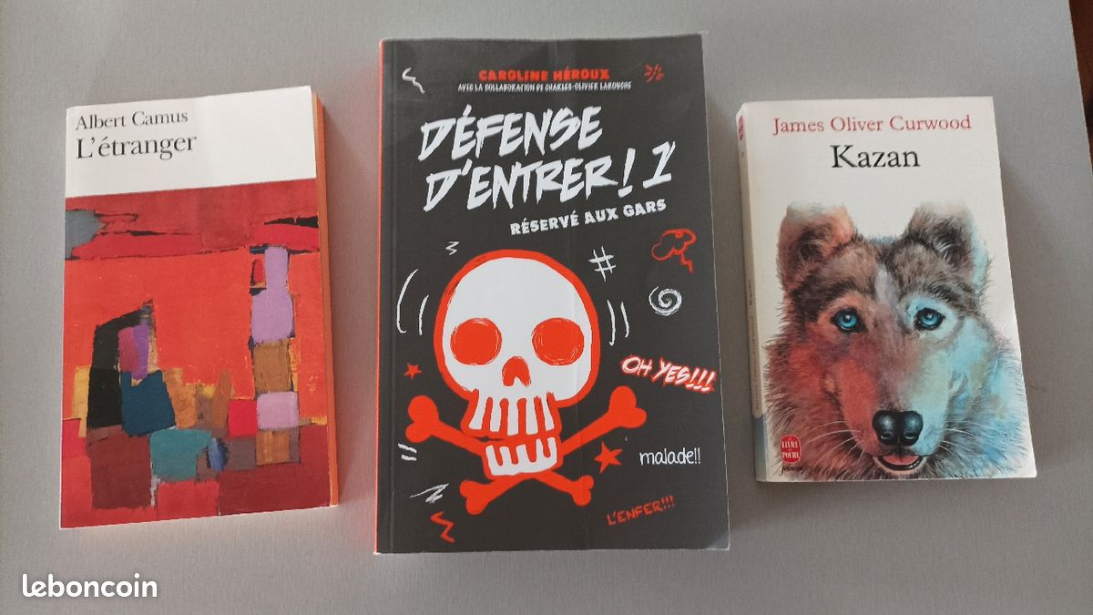 Livres pour le collège (image 4)