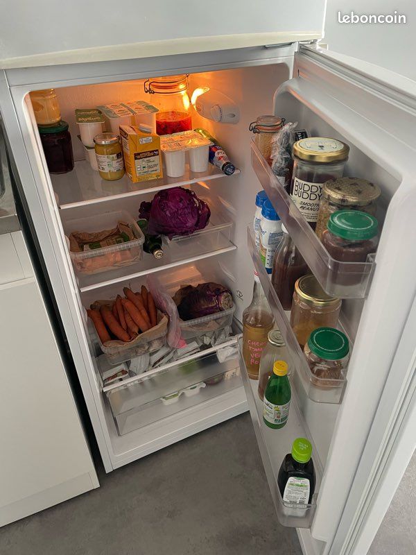 Frigo Proline DD 209WH 206 Litres - Électroménager