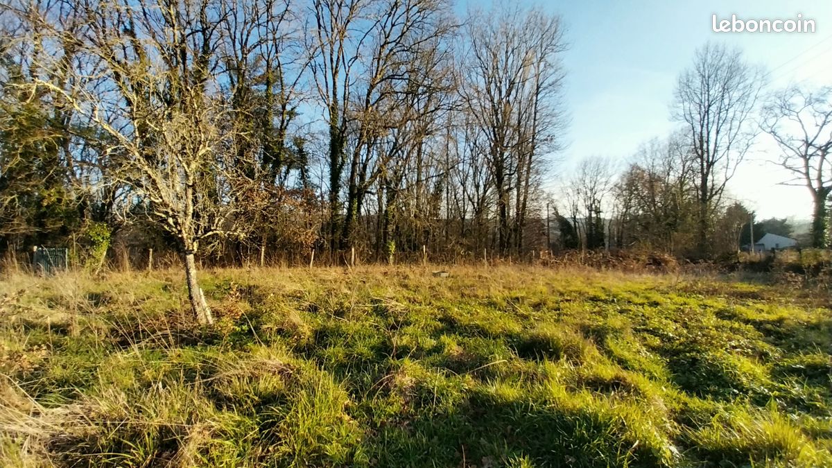 Maison 1447 m² · à Château-l'Évêque · 1 447 m² · 36 300 €