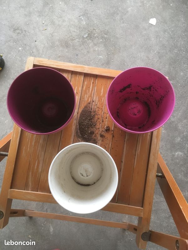 Cache pot spécial orchidée Elho avec fond bombé (image 7)