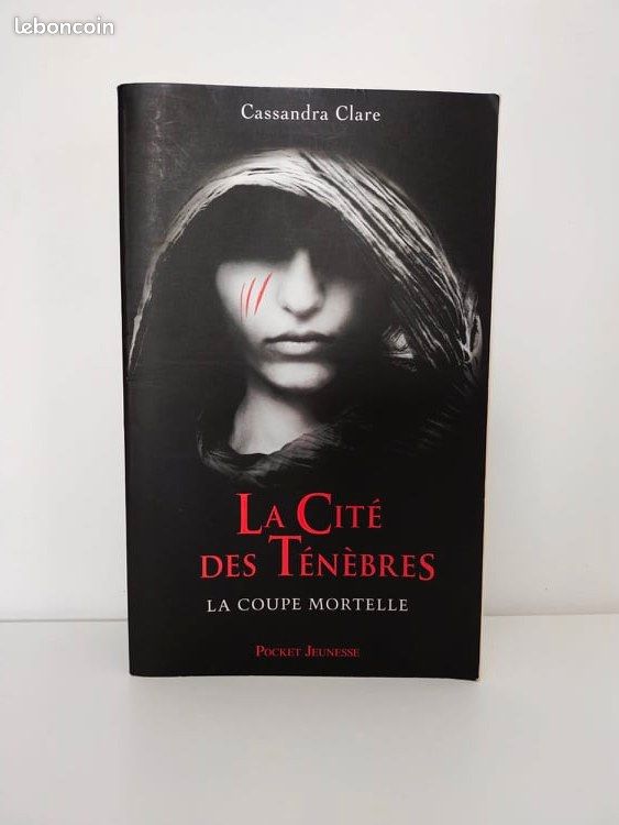 La cité des ténèbres (image 1)