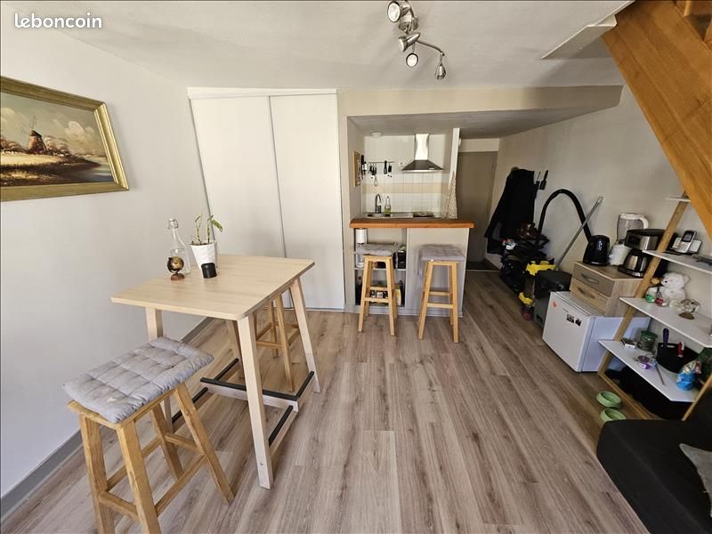 Duplex 2 pièces 48 m² - Limoges 87000 (image principale 2)