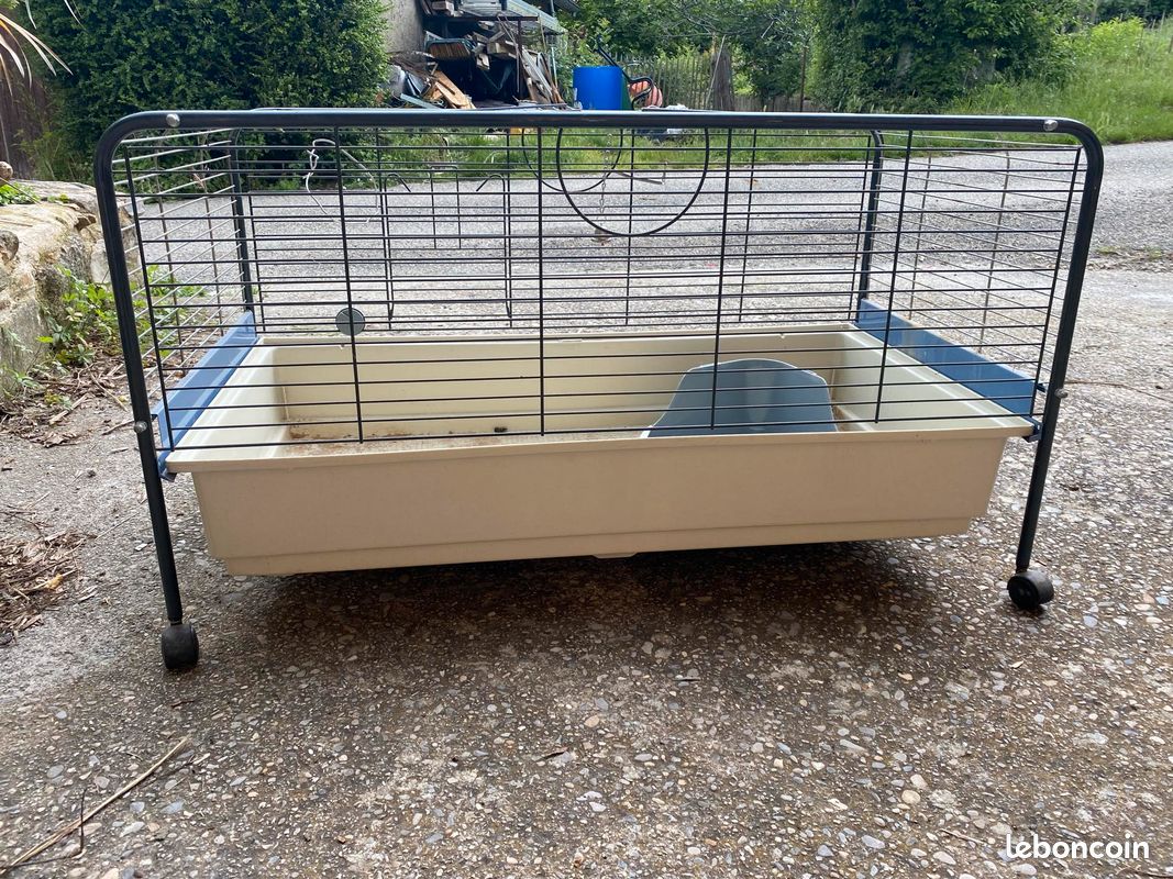 Cage a roulette (image 2)