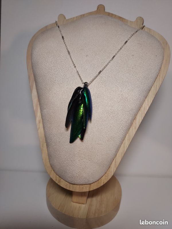 Pendentif élytres Sternocera – Vrai scarabée – Collier argent 925 – Bijou curiosités – Insecte naturel – Chaînes au choix (image 1)