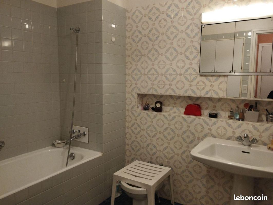 Appartement 8 pièces 172 m² - Limoges 87000 (image principale 5)
