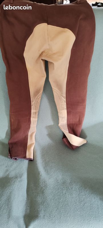 Culotte équestre Noble Outfitters – Femme, Taille S, Marron, D’occasion