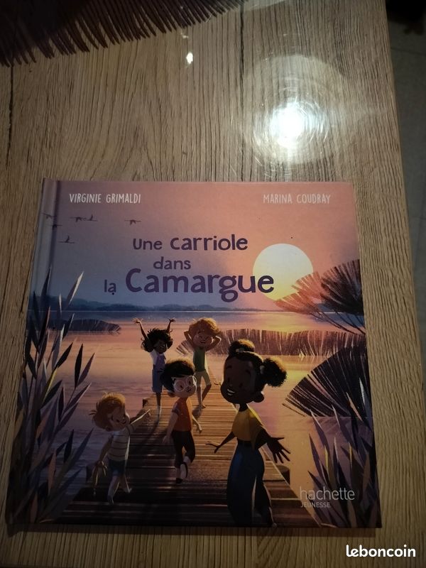 Lot de 6 livres Merveilles de France (image 1)