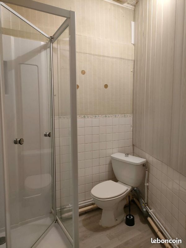 Appartement 2 pièces 51 m² - Eymoutiers 87120 (image principale 5)