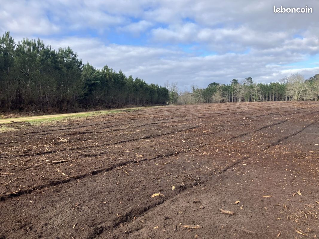 Terrain 465 m² · à Saint-Avit · 465 m² · 60 900 €