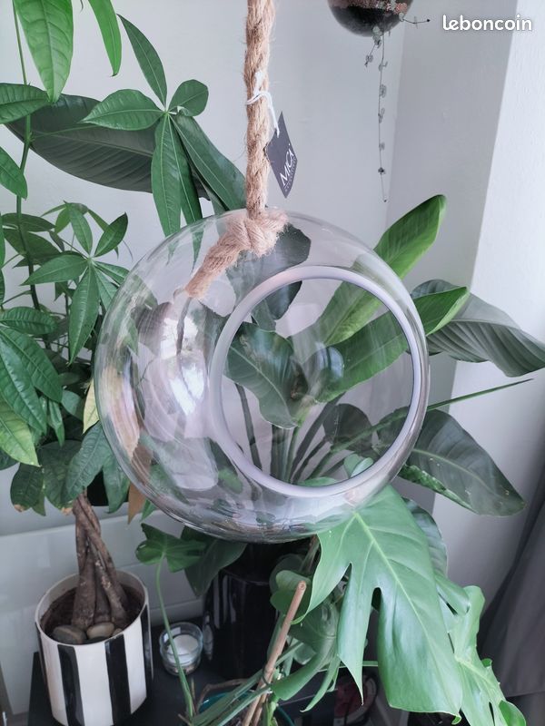 Terrarium sphère à suspendre pour plantes ou décoration intérieure (image 1)