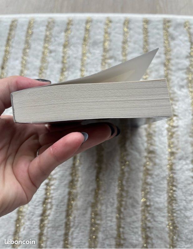 Livre : la femme de ménage (image 5)