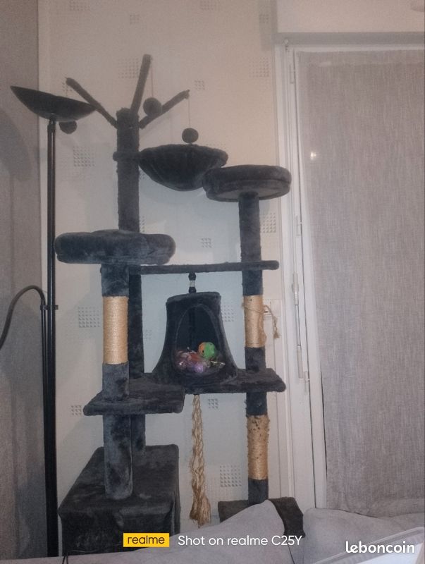 Arbre à chat (image 3)