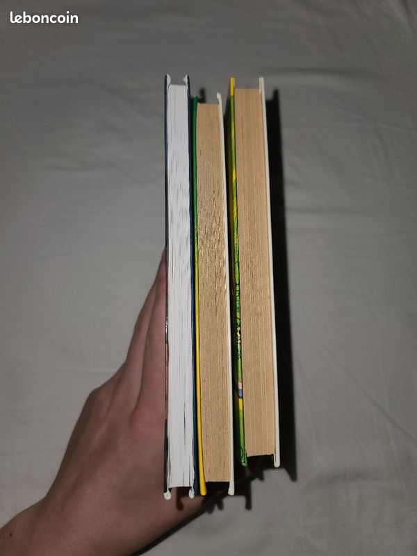 Lot 3 livres l'Étalon noir (L'empreinte, La légende, Un rival pour l'étalon noir) (image 5)
