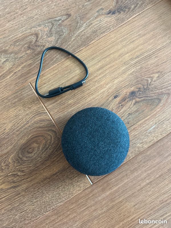 Enceinte Google Home Mini (image 1)